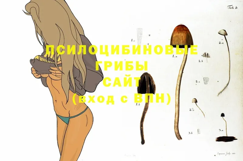 omg ССЫЛКА  где можно купить наркотик  Воткинск  Галлюциногенные грибы Psilocybine cubensis 